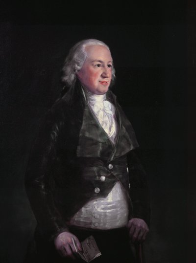 Don Pedro de Alcántara Téllez-Girón by Francisco de Goya